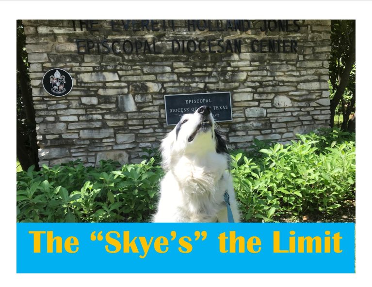 The Skye's the Limit 